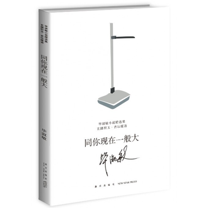 同你现在一般大/毕淑敏小说精选集