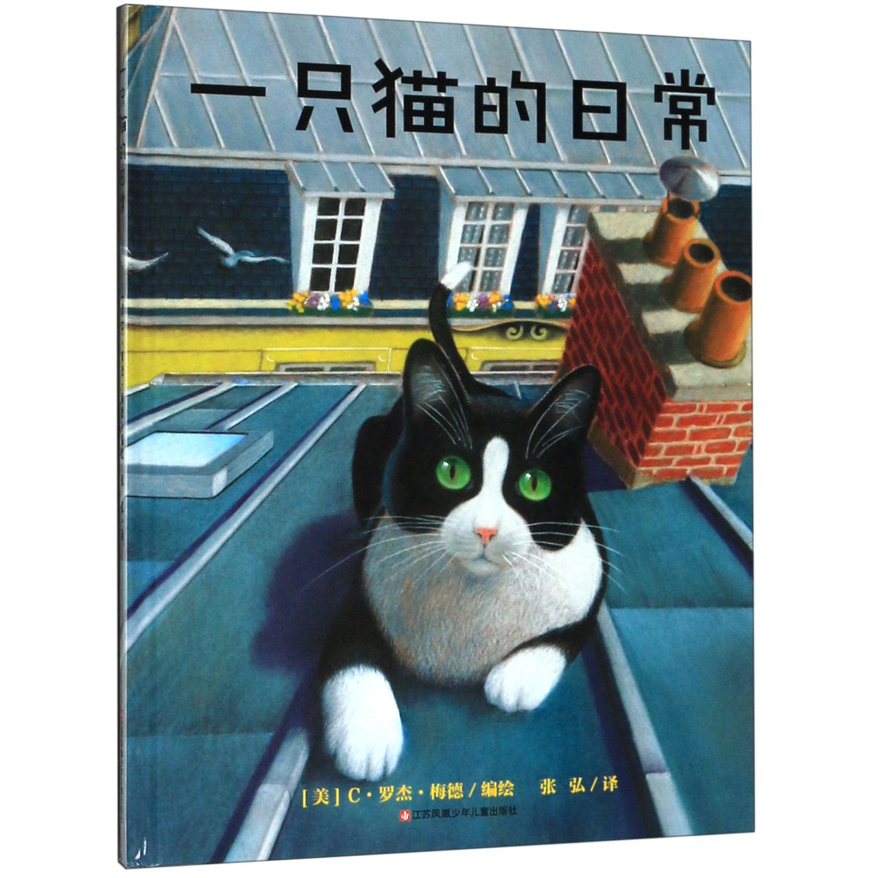一只猫的日常(精)