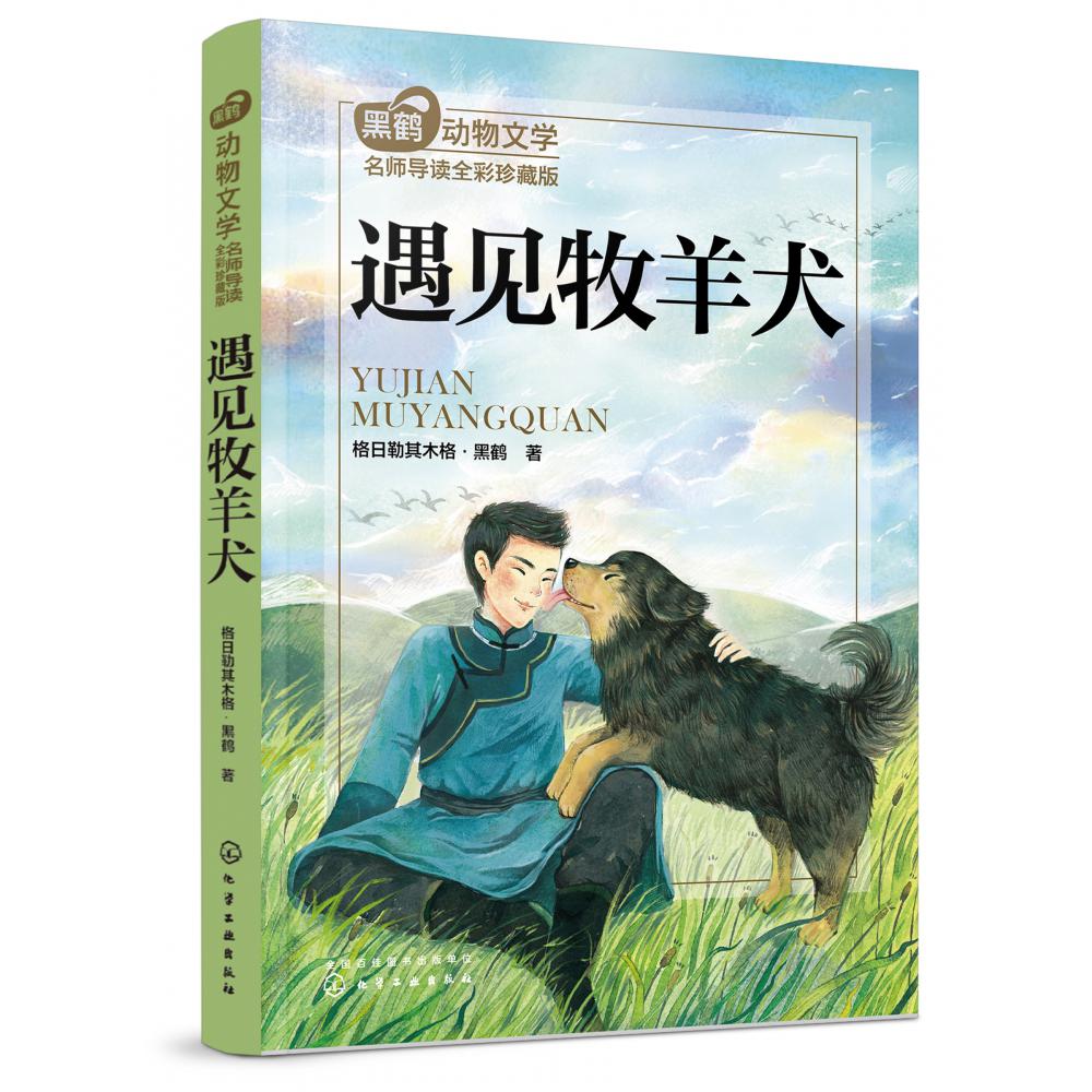 遇见牧羊犬(黑鹤动物文学名师导读全彩珍藏版)
