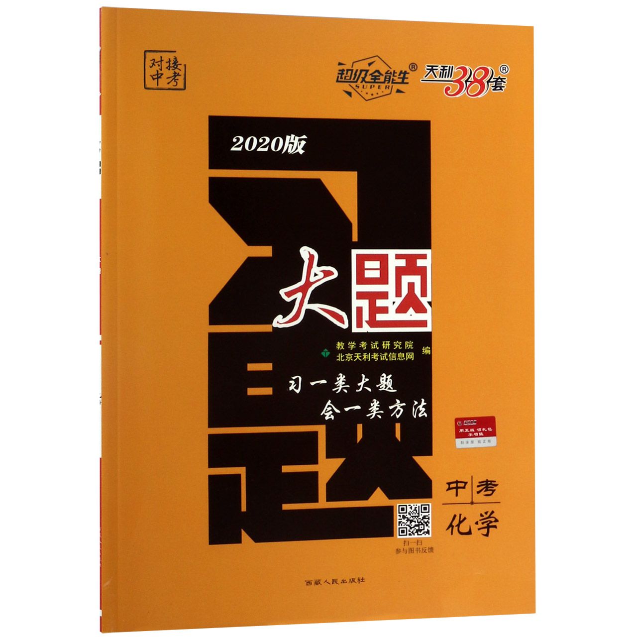 中考化学(2020版)/习题大题