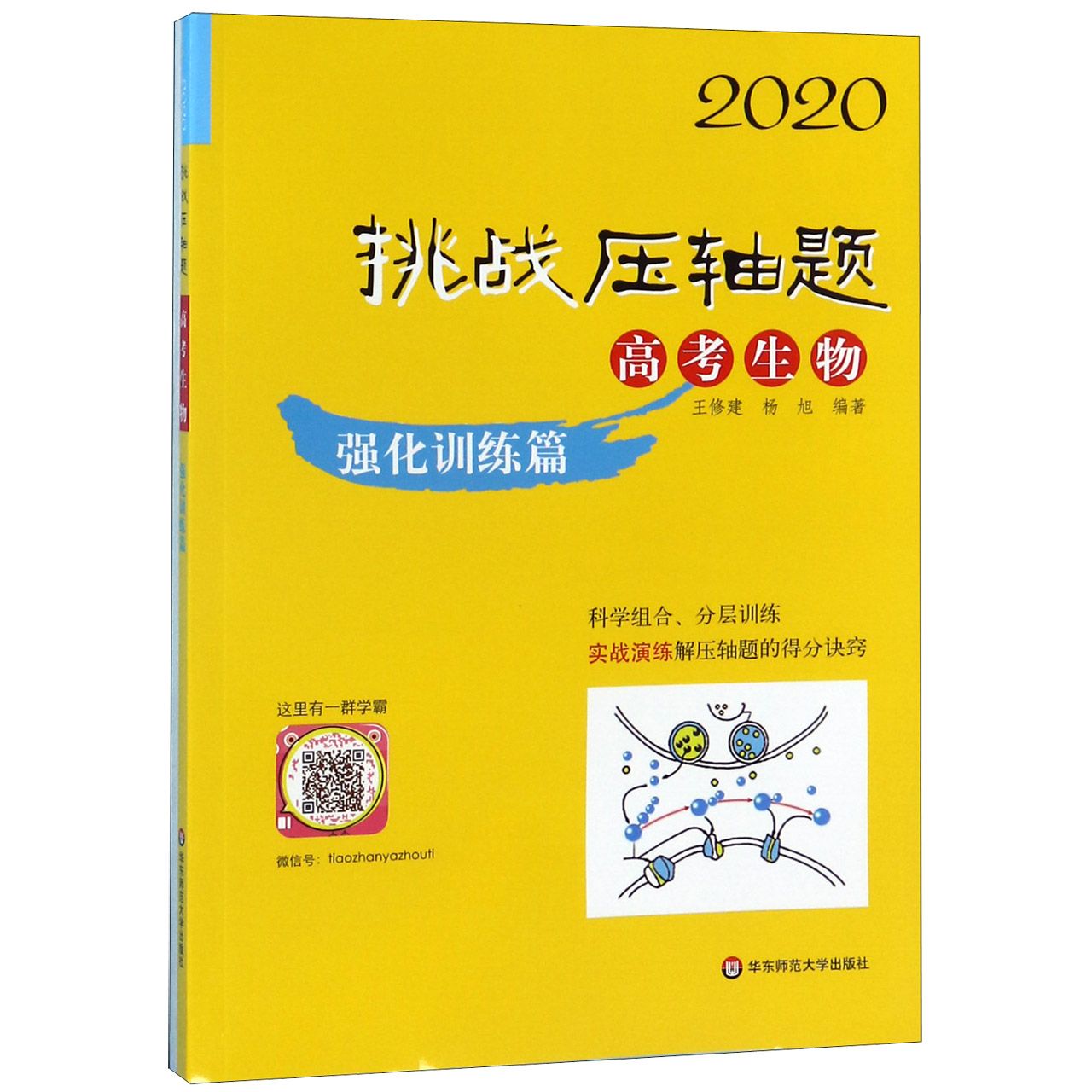 高考生物(强化训练篇)/2020挑战压轴题