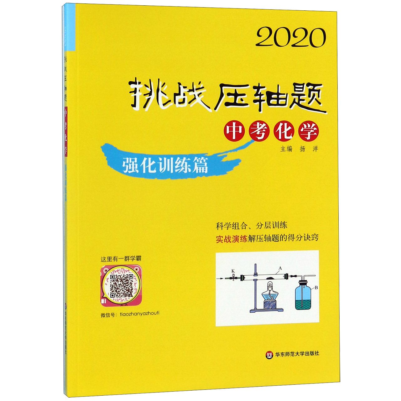 中考化学(强化训练篇)/2020挑战压轴题
