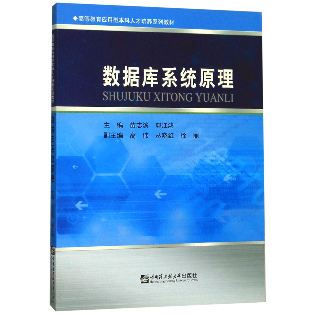 数据库系统原理(高等教育应用型本科人才培养系列教材)