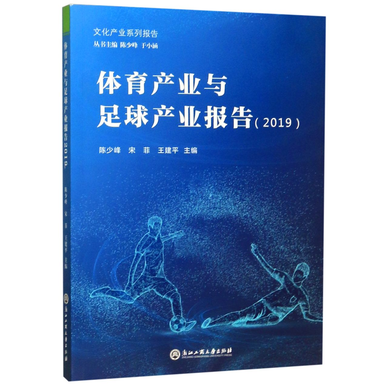 体育产业与足球产业报告(2019)/文化产业系列报告