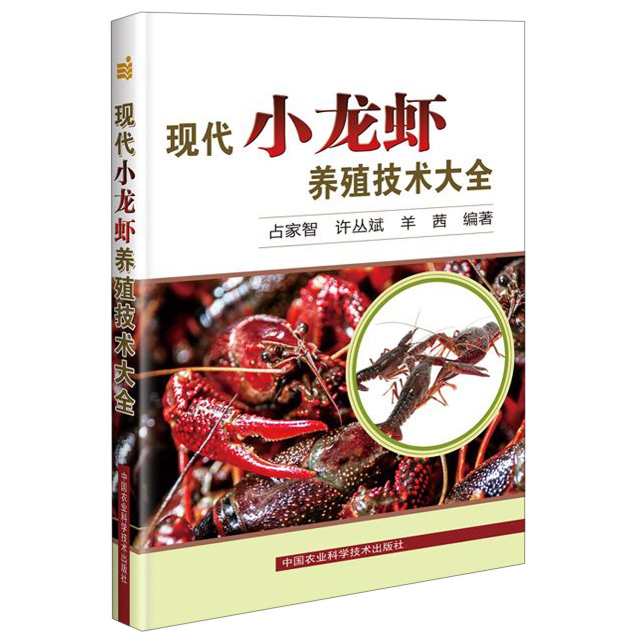 现代小龙虾养殖技术大全