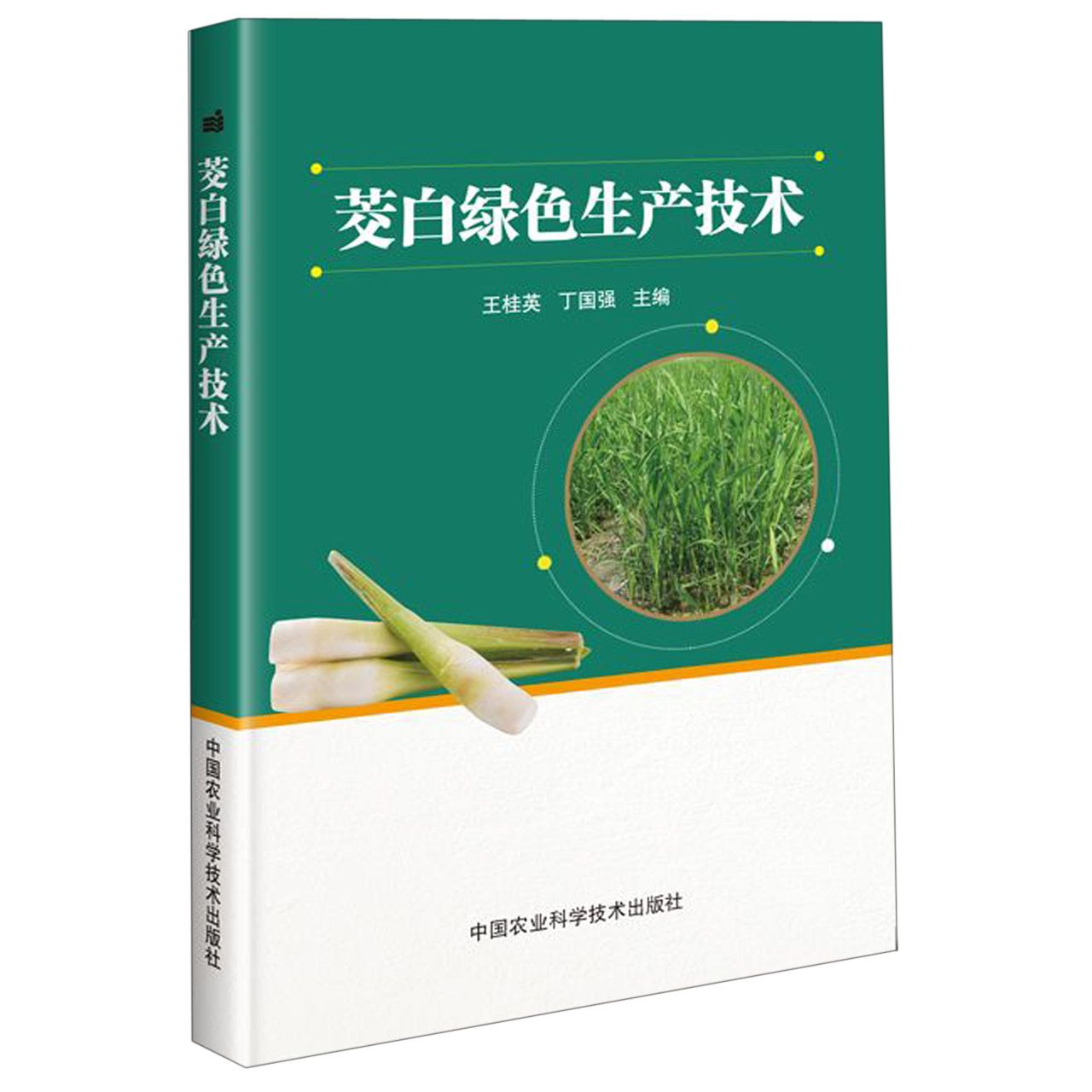 茭白绿色生产技术