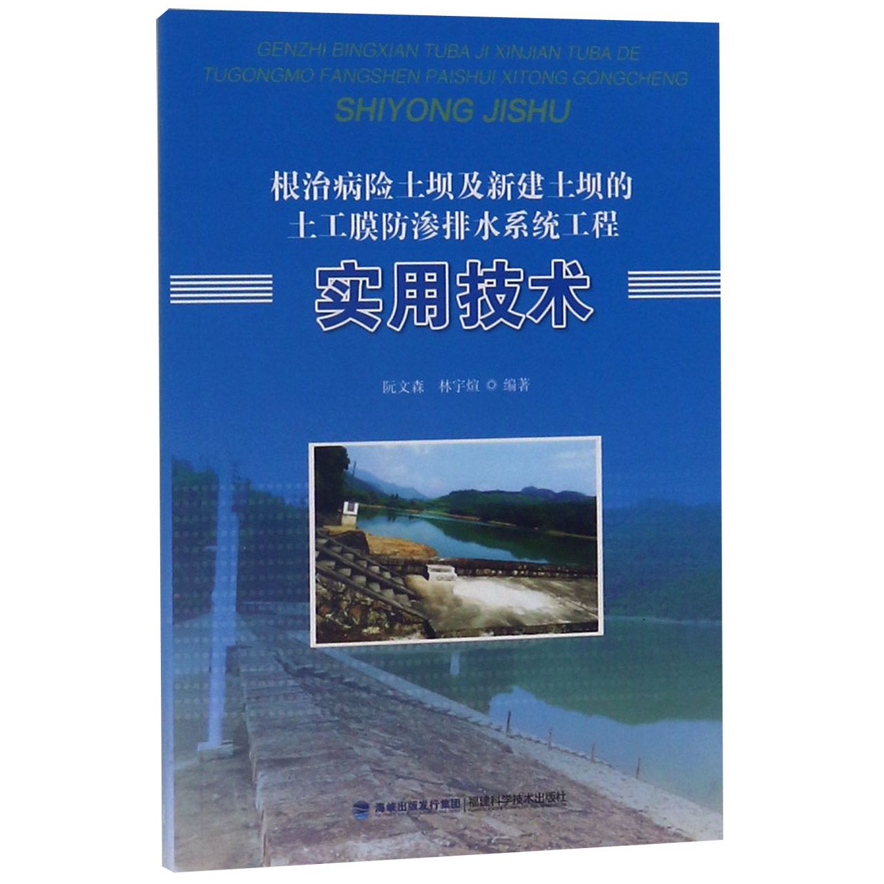 根治病险土坝及新建土坝的土工膜防渗排水系统工程实用技术