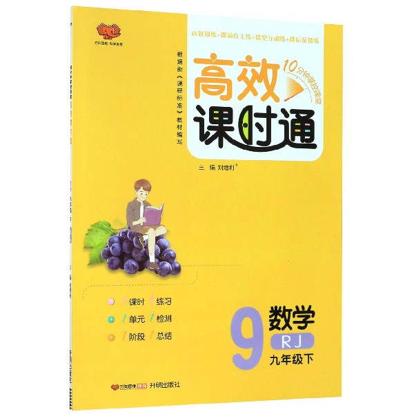 数学(9下RJ)/高效课时通