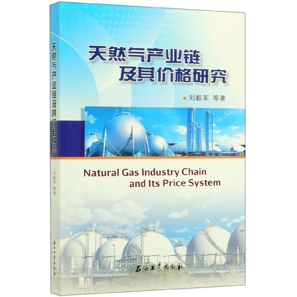 天然气产业链及其价格研究