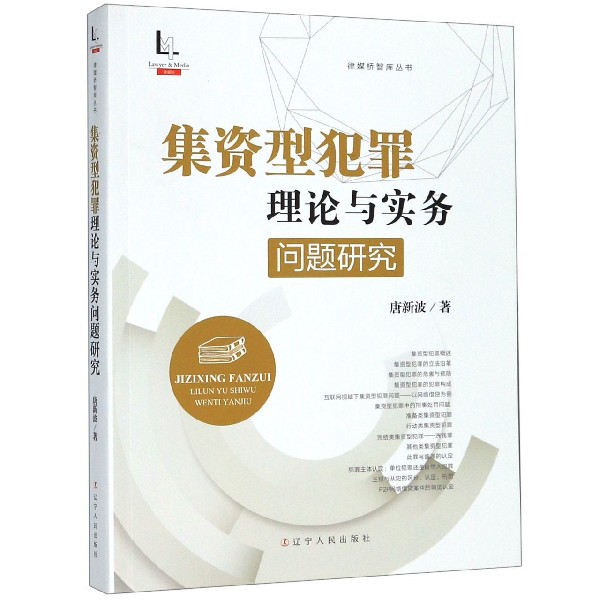 集资型犯罪理论与实务问题研究/律媒桥智库丛书