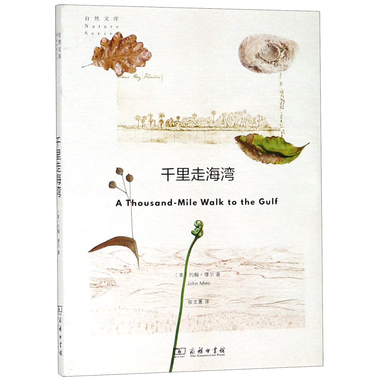 千里走海湾/自然文库