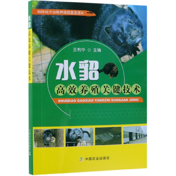 水貂高效养殖关键技术/特种经济动物养殖致富直通车