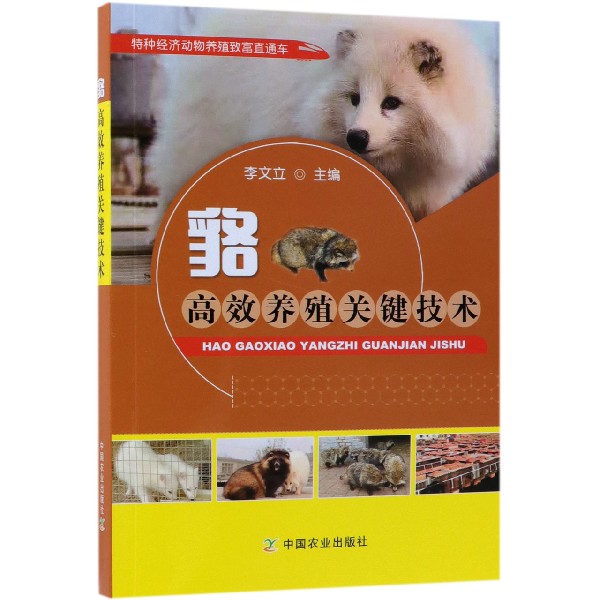 貉高效养殖关键技术/特种经济动物养殖致富直通车