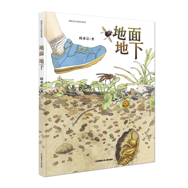 地面地下（苏少版）