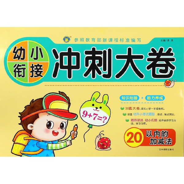 20以内的加减法/幼小衔接冲刺大卷