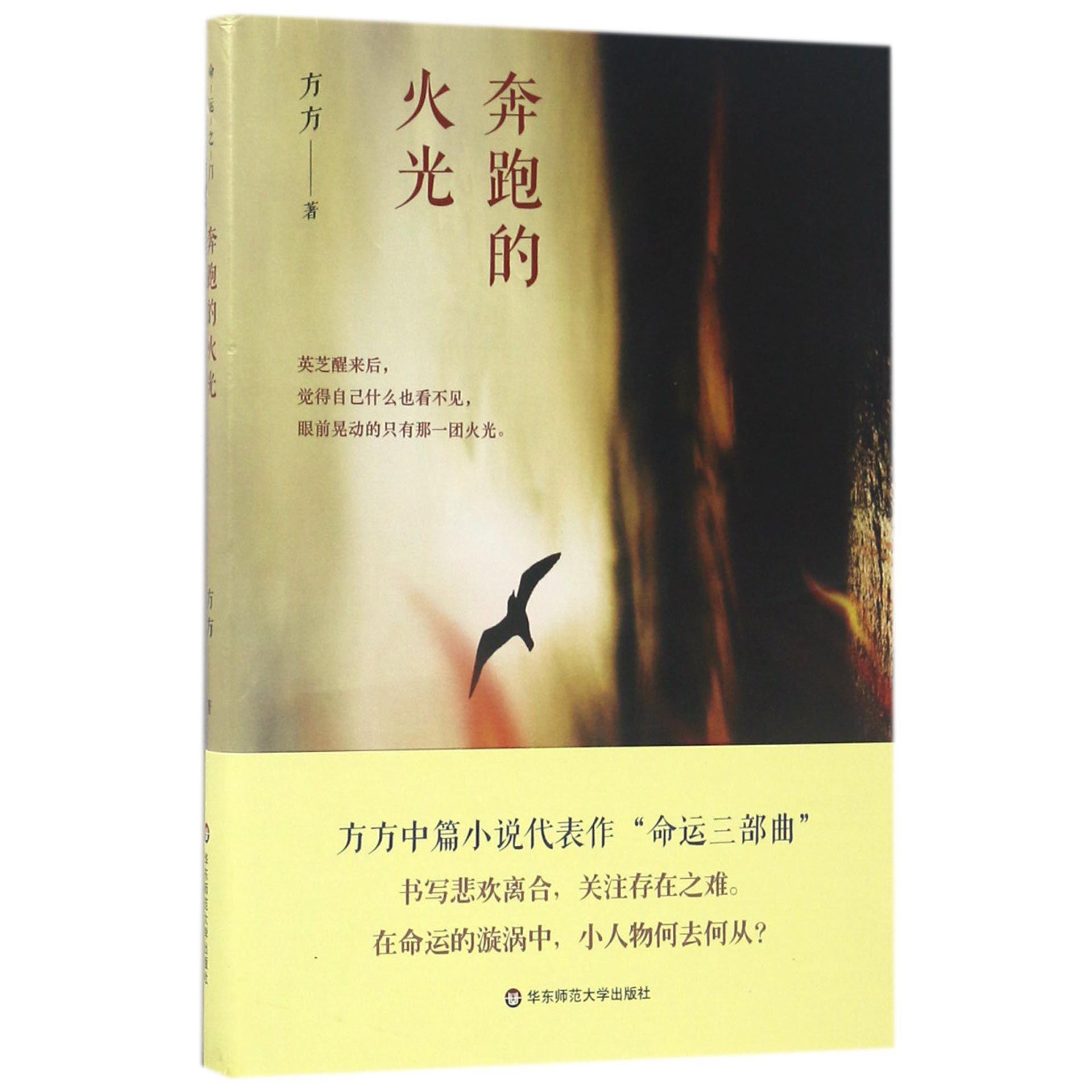 奔跑的火光