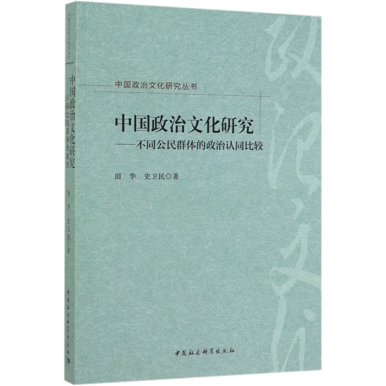 中国政治文化研究--不同公民群体的政治认同比较/中国政治文化研究丛书