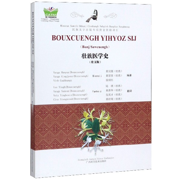 壮族医学史(壮文版)/中国东盟传统医药文库