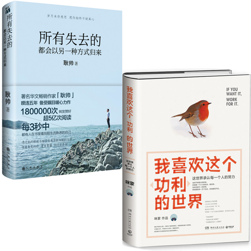我喜欢这个功利的世界+所有失去的都会以另一种方式归来（共2册）