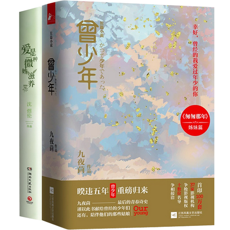 曾少年(上下)+爱是一种微妙的滋养（共3册）