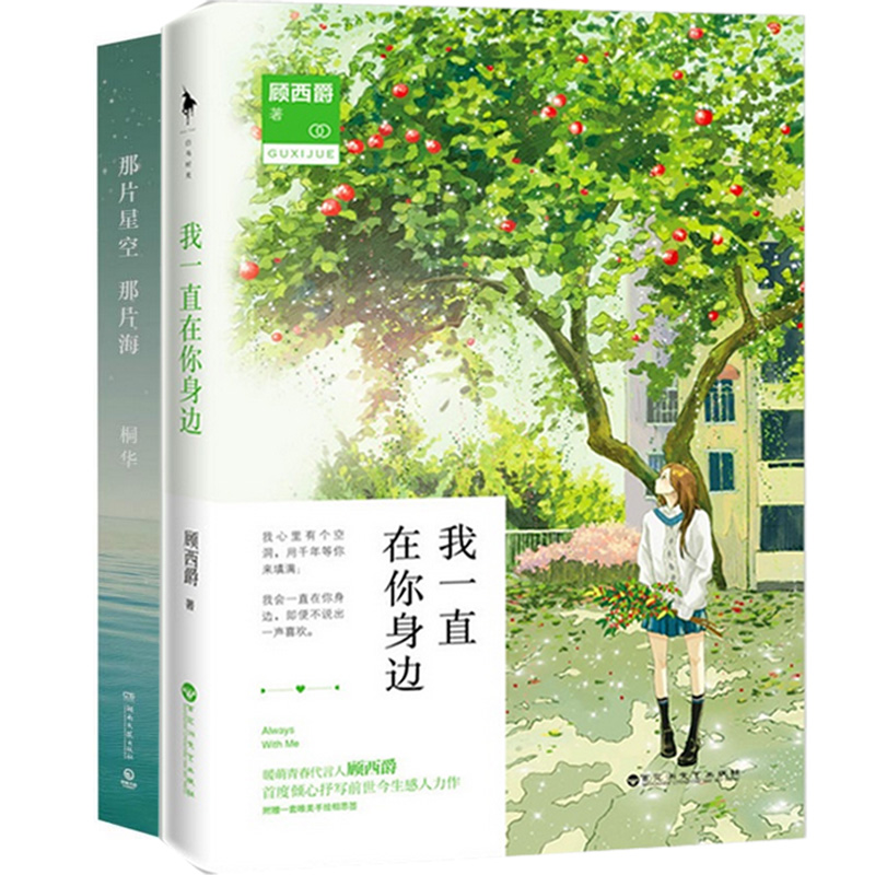 我一直在你身边+那片星空那片海（共2册）