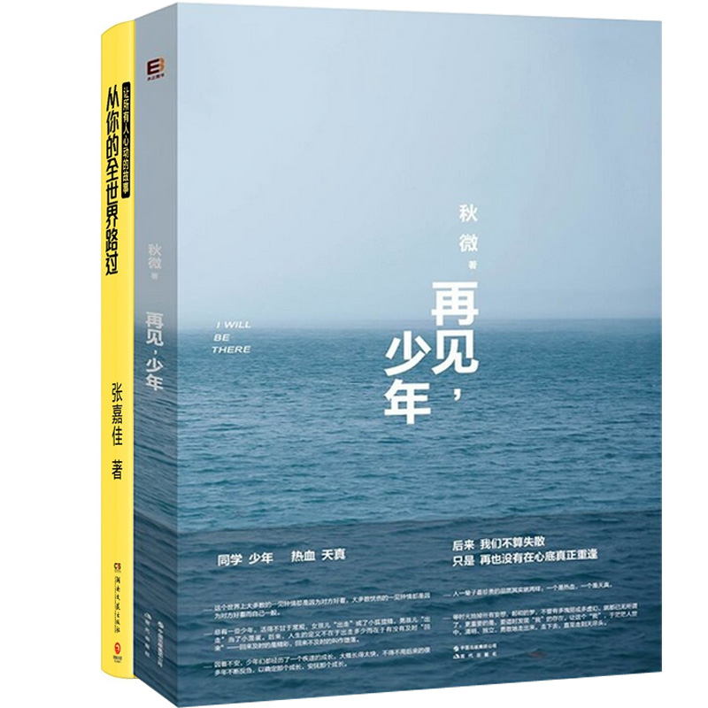 再见少年+从你的全世界路过(让所有人心动的故事)（共2册）