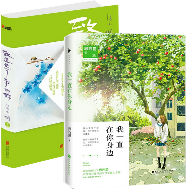 我一直在你身边+致遗忘了我的你（共2册）
