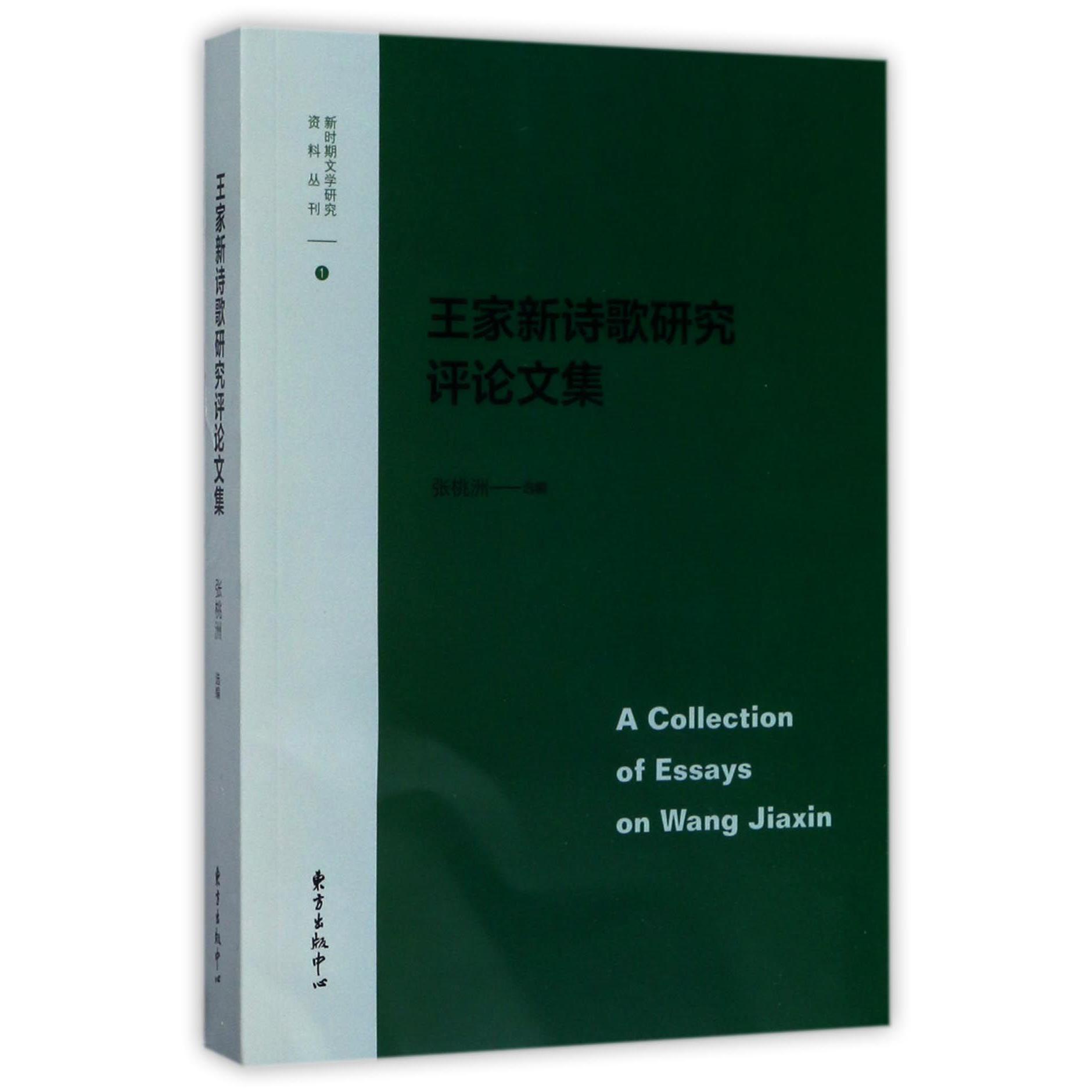 王家新诗歌研究评论文集/新时期文学研究资料丛刊
