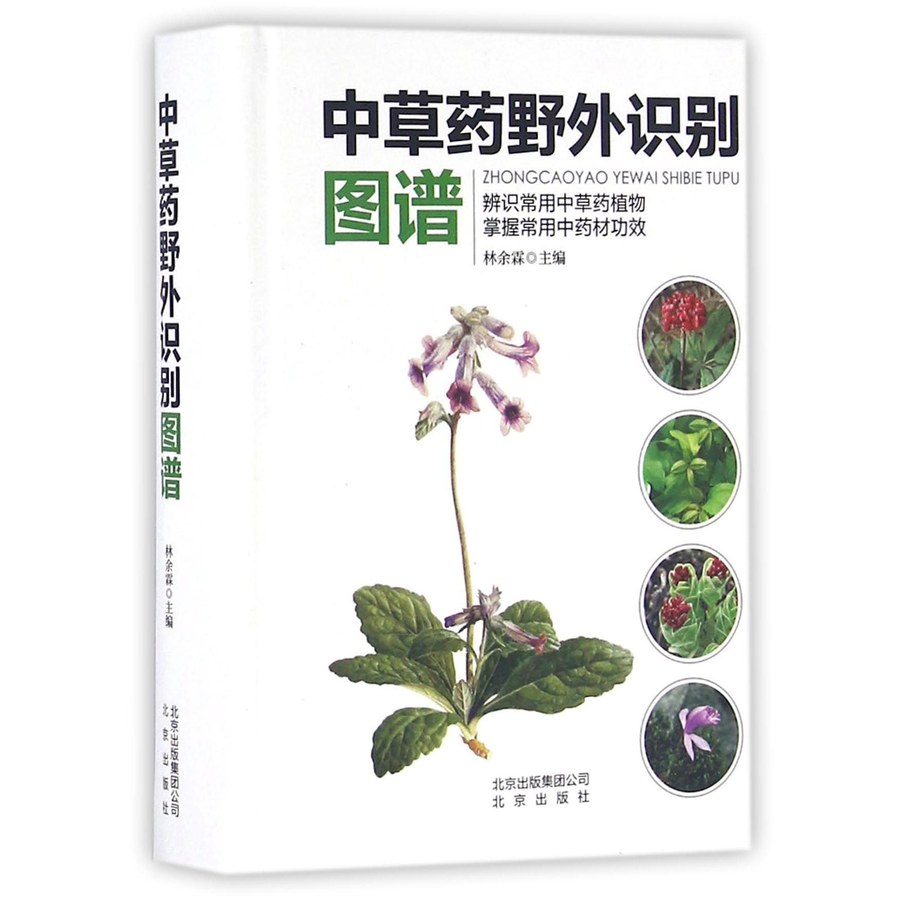 中草药野外识别图谱(精)