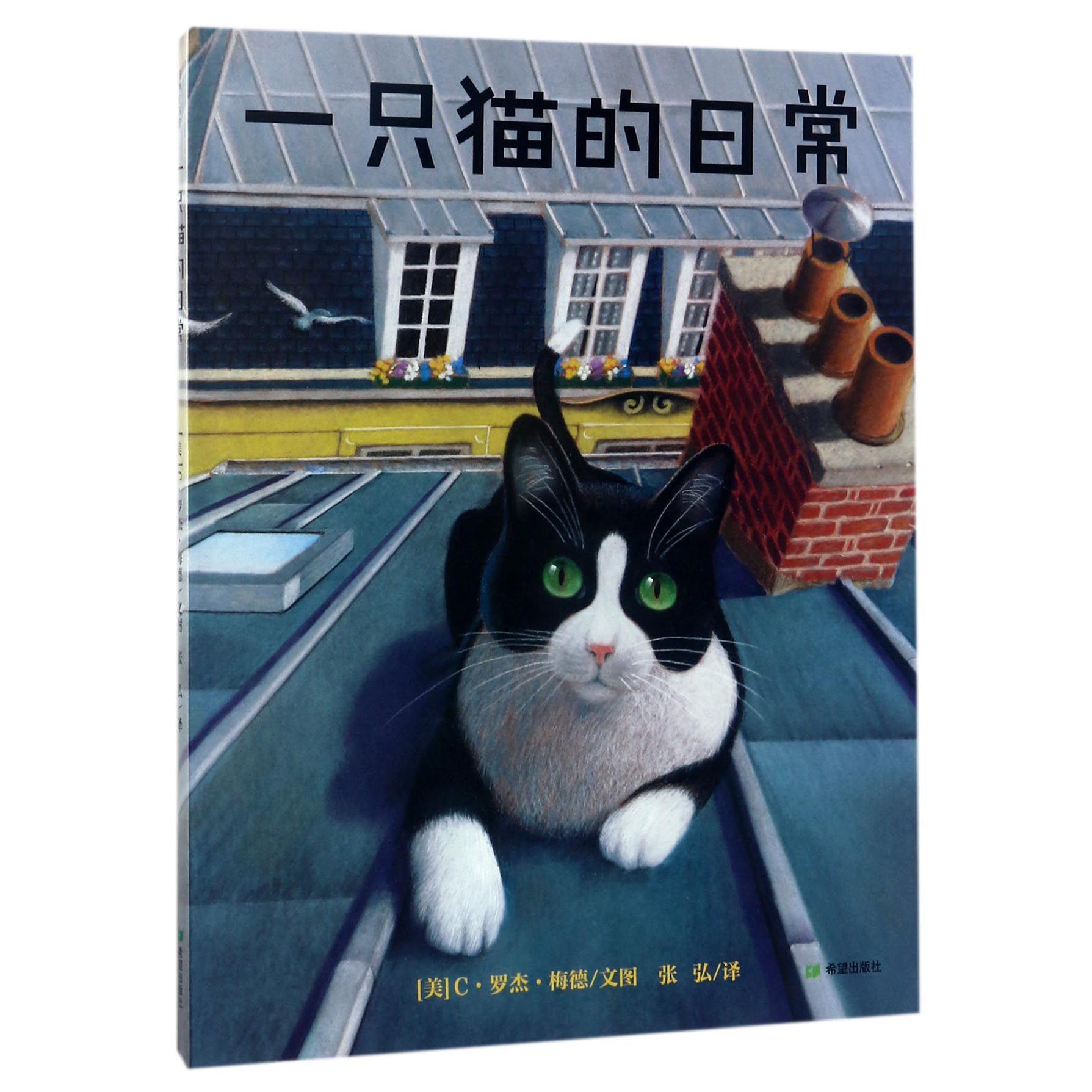 一只猫的日常(精)