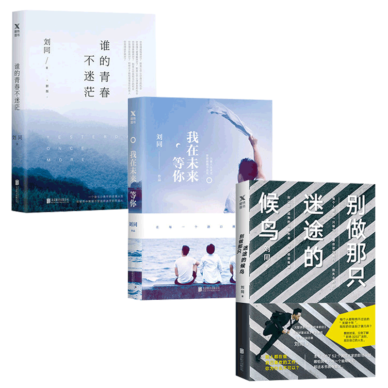 别做那只迷途的候鸟&谁的青春不迷茫&我在未来等你 共3册
