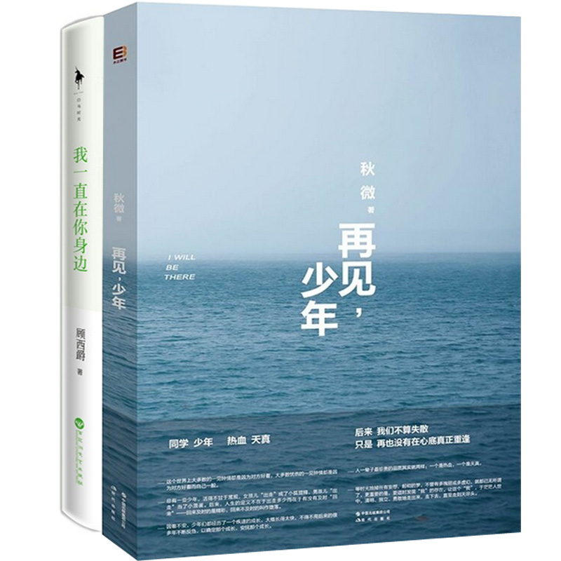 再见少年+我一直在你身边（共2册）