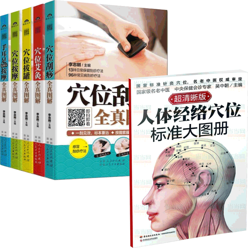 人体经络穴位标准大图册&穴位保健全真图解（5册） 共6册