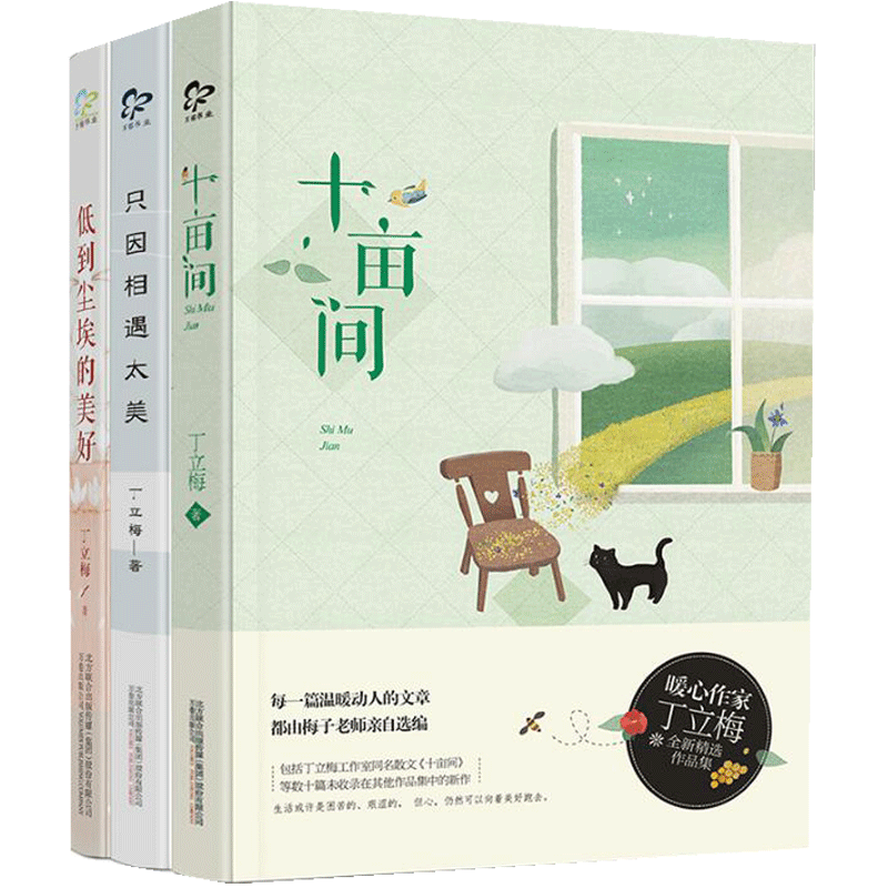 丁立梅作品系列 共3册