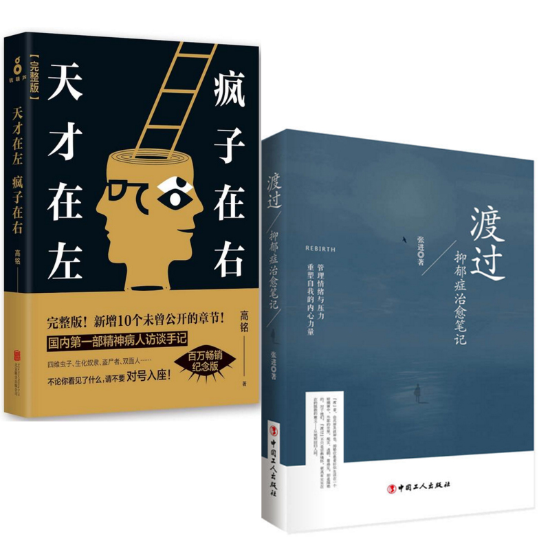 天才在左疯子在右+渡过(抑郁症治愈笔记)（共2册）