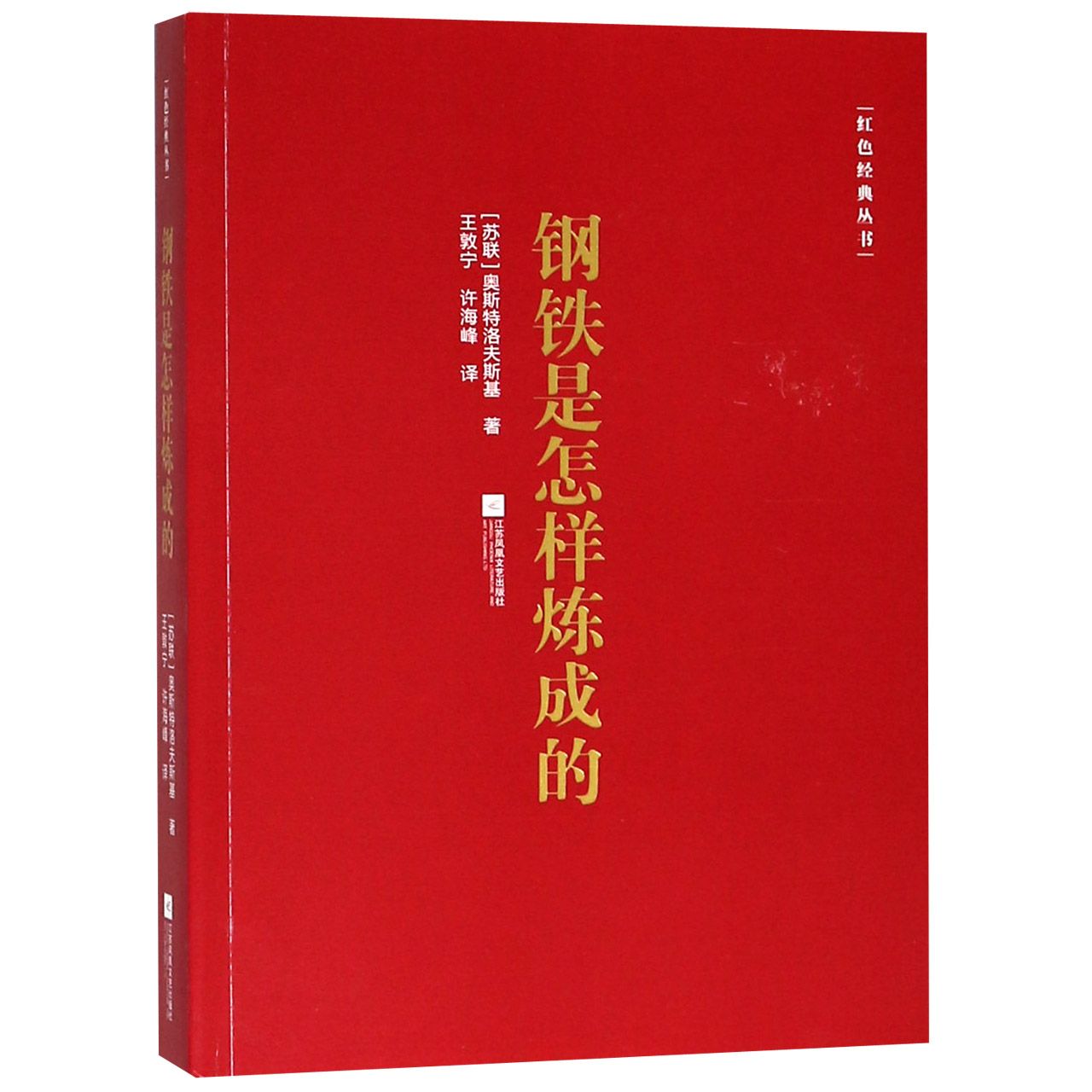 钢铁是怎样炼成的/红色经典丛书