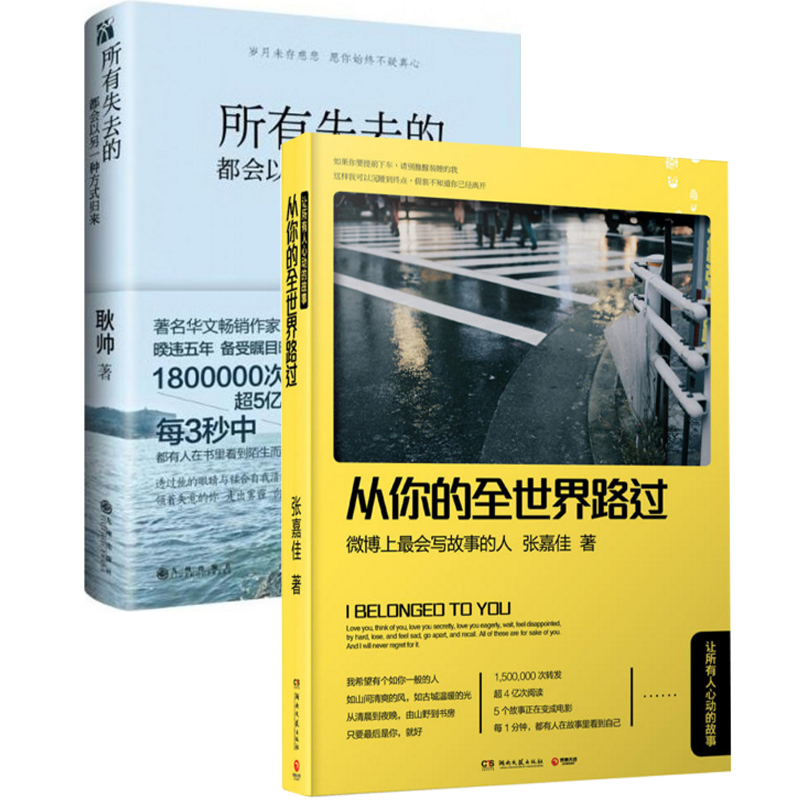 从你的全世界路过+所有失去的都会以另一种方式归来（共2册）