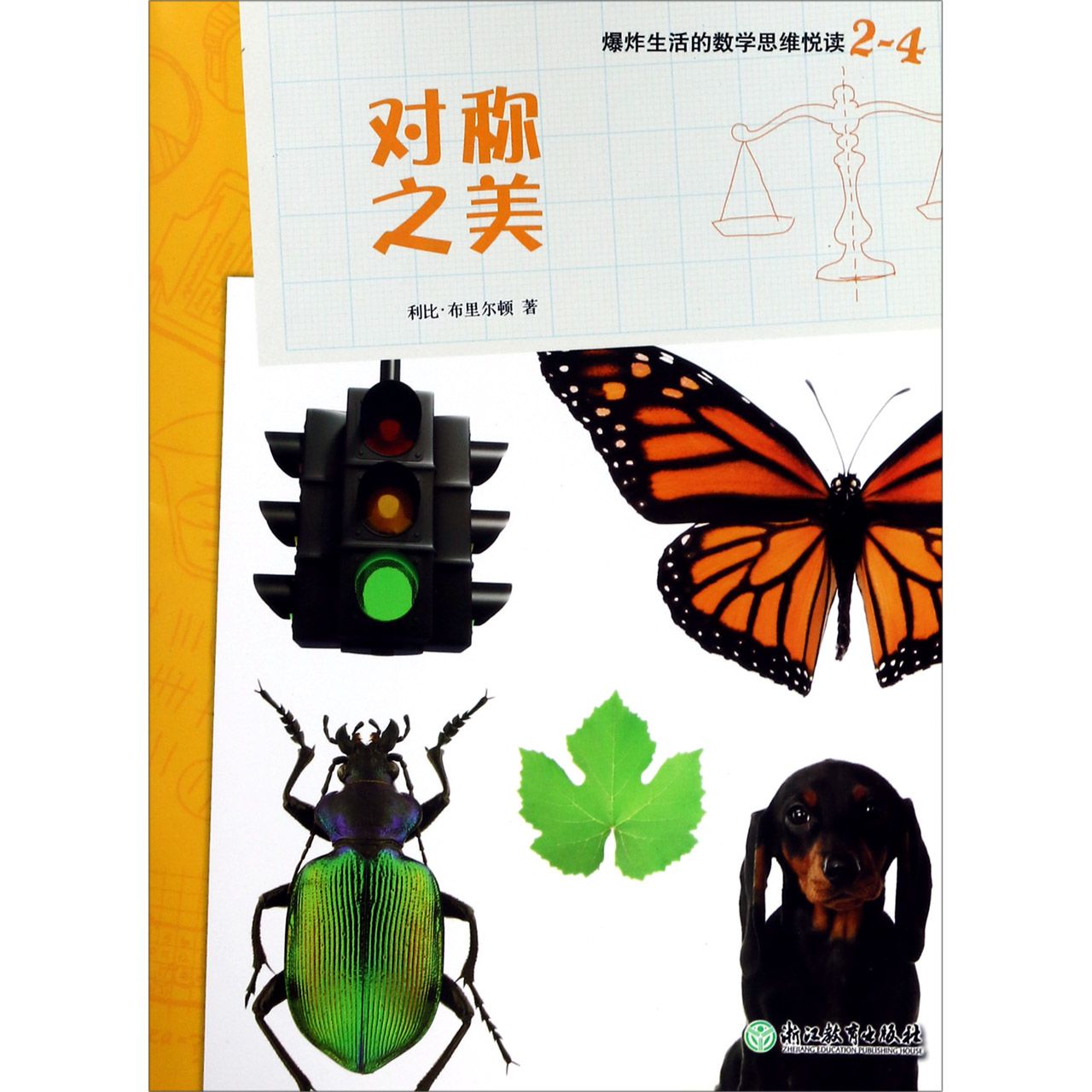 对称之美