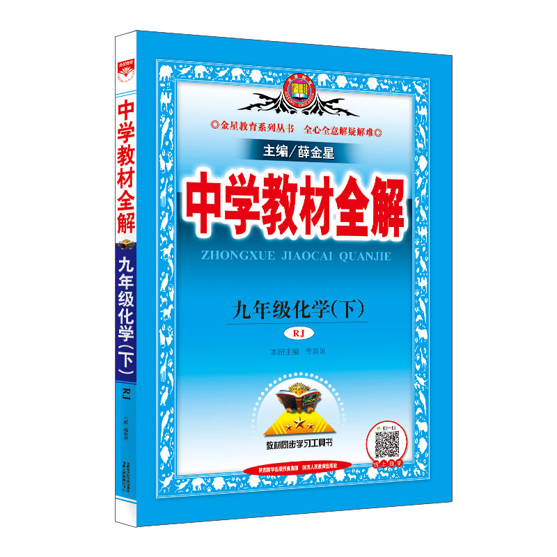 19N教材全解-九年级化学下(RJ版)19x