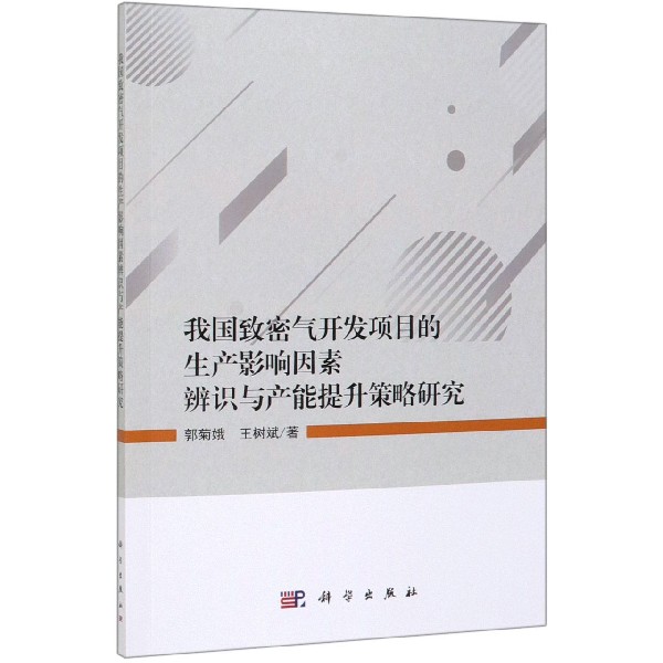 我国致密气开发项目的生产影响因素辨识与产能提升策略研究