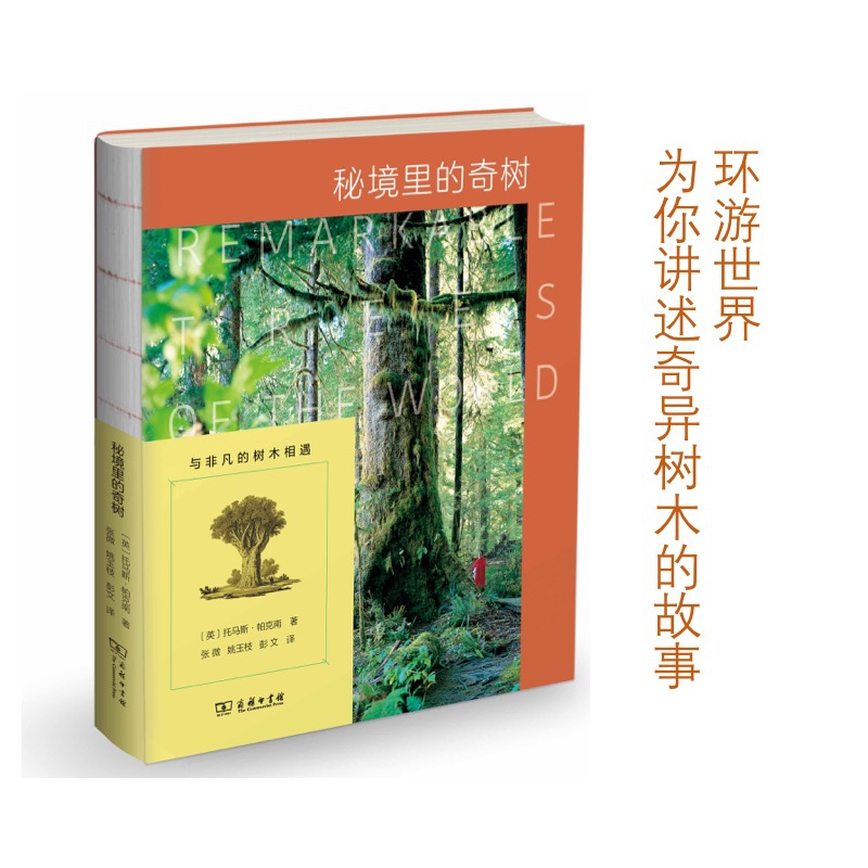 秘境里的奇树