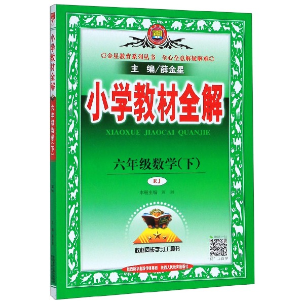 19N小学教材全解-六年级数学下(RJ版)19x
