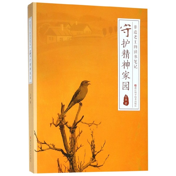 守护精神家园(非遗老王的读书笔记)