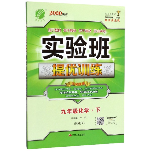 九年级化学(下RMJY2020强化版)/实验班提优训练