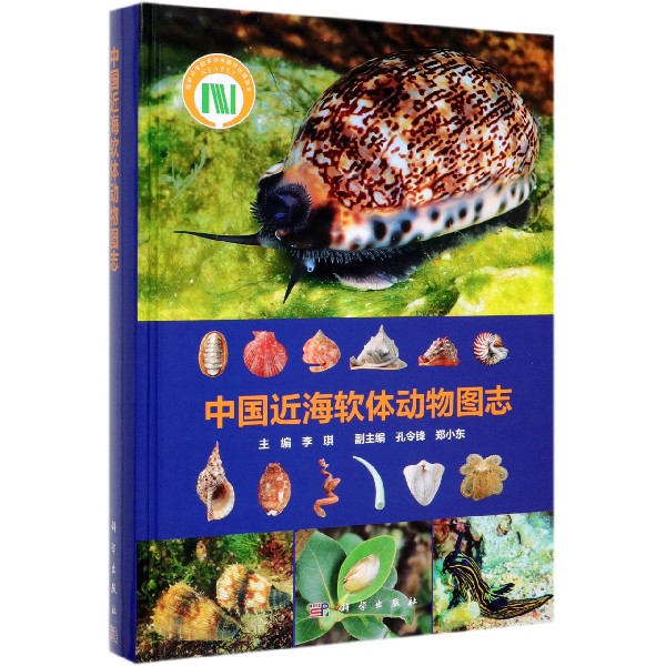 中国近海软体动物图志(精)