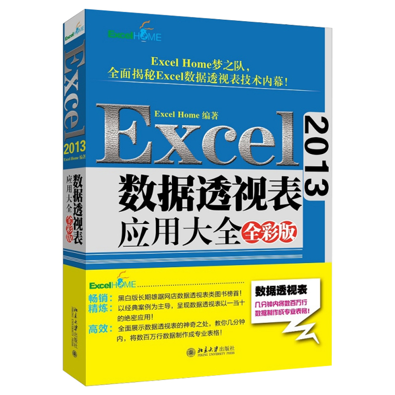 Excel2013数据透视表应用大全(全彩版)