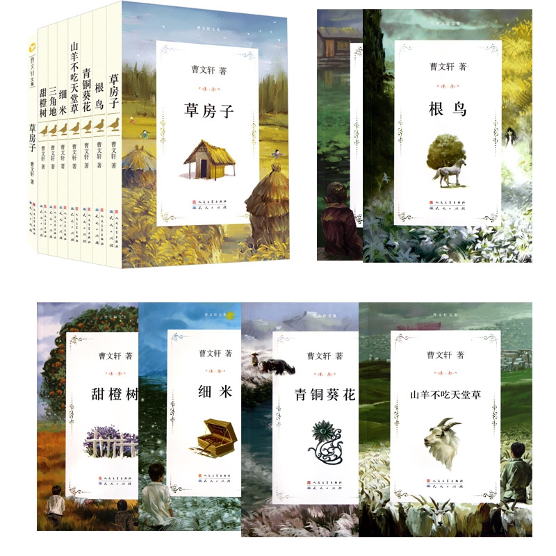 曹文轩文集系列   共14册