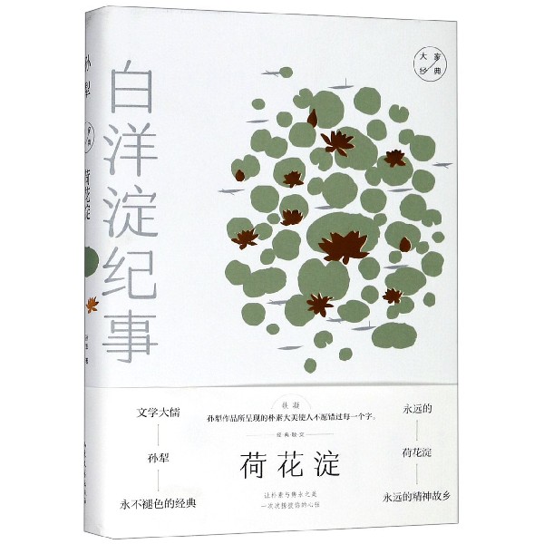 荷花淀(精)/大家经典