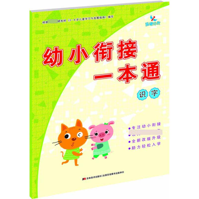 幼小衔接一本通  识字