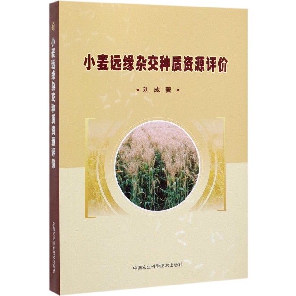 小麦远缘杂交种质资源评价